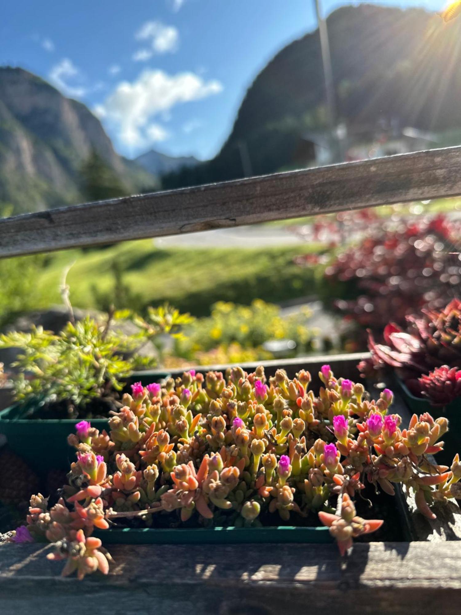 Garni Villa Erna Selva di Val Gardena Ngoại thất bức ảnh