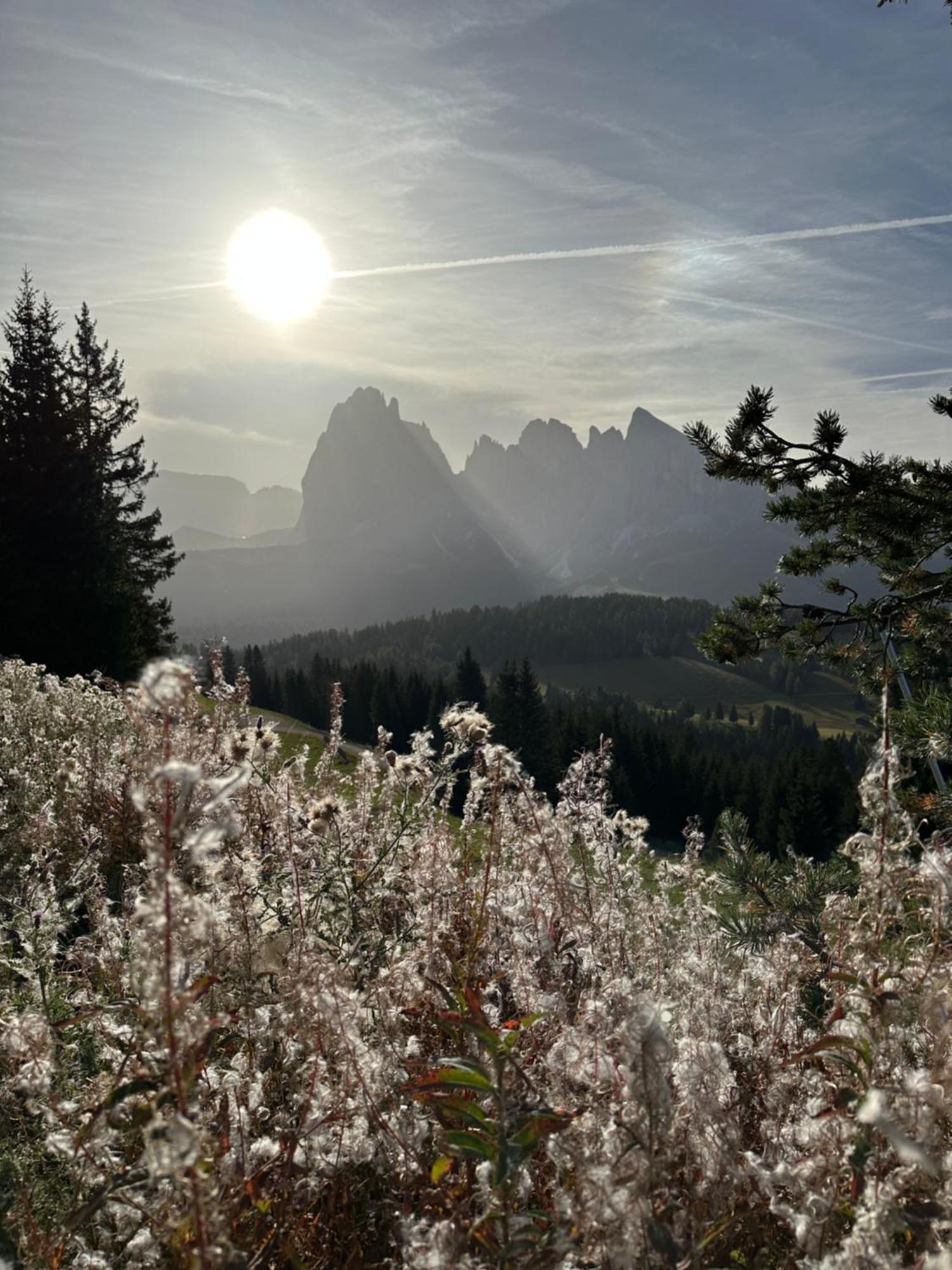 Garni Villa Erna Selva di Val Gardena Ngoại thất bức ảnh