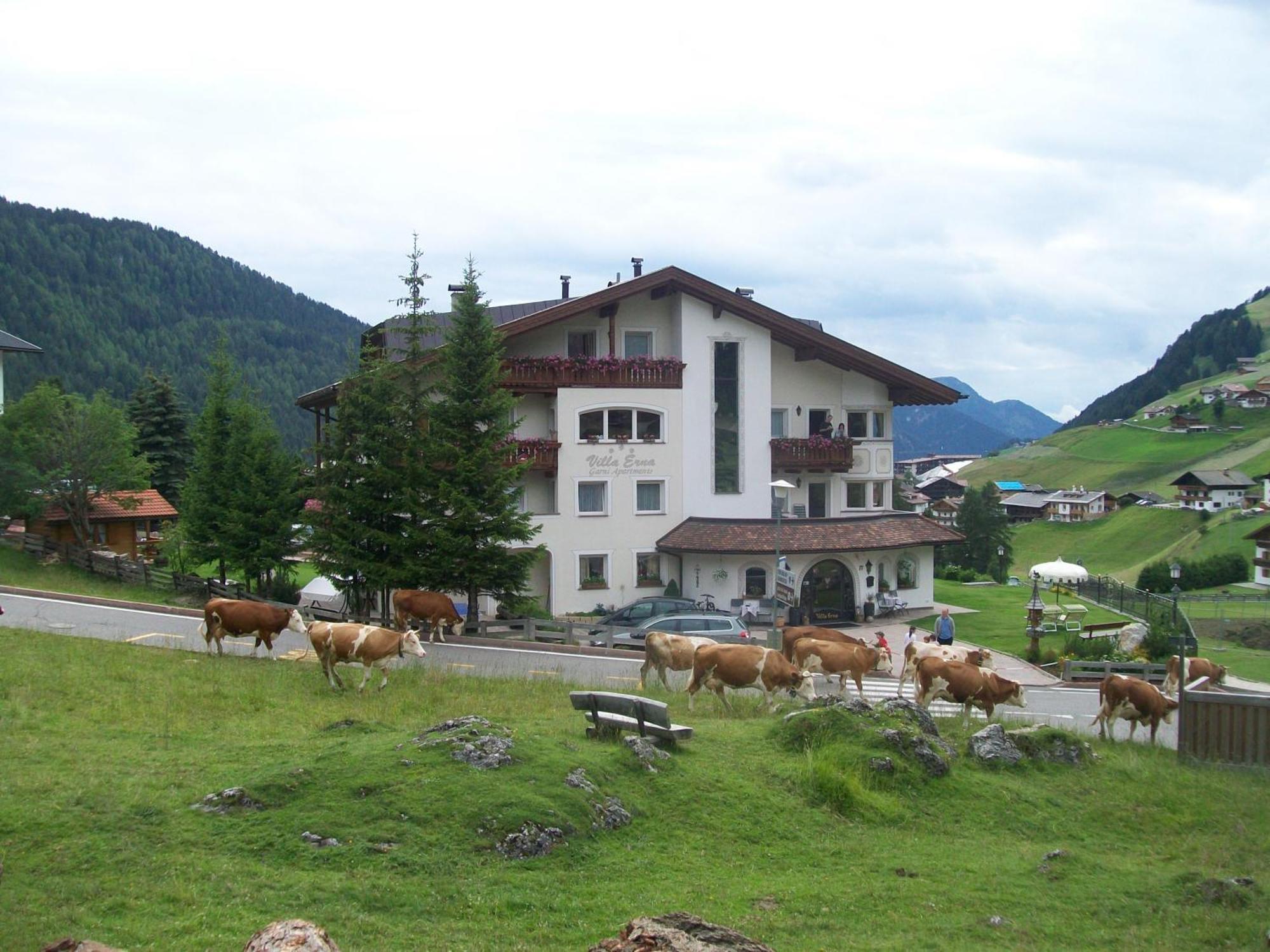 Garni Villa Erna Selva di Val Gardena Ngoại thất bức ảnh